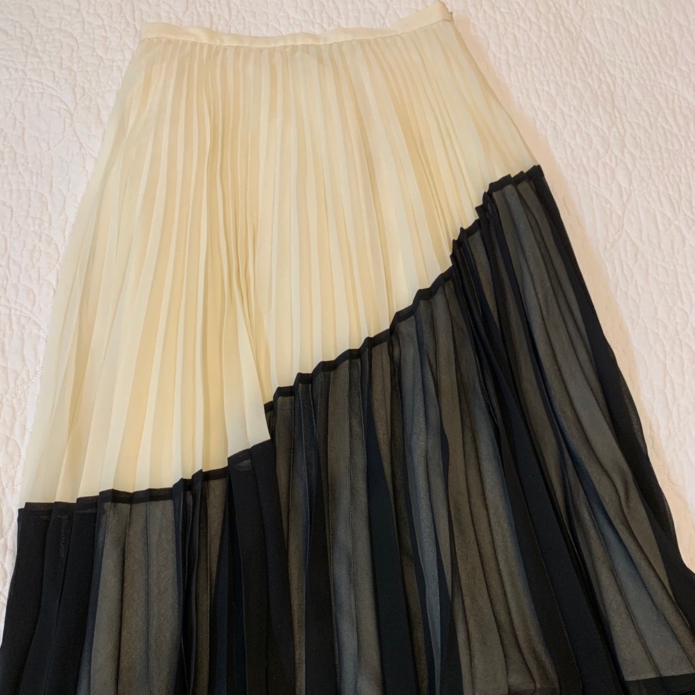 Banana Republic Midi Skirt (8)